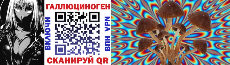 Галлюциногенные грибы GOLDEN TEACHER  где можно купить   Багратионовск 